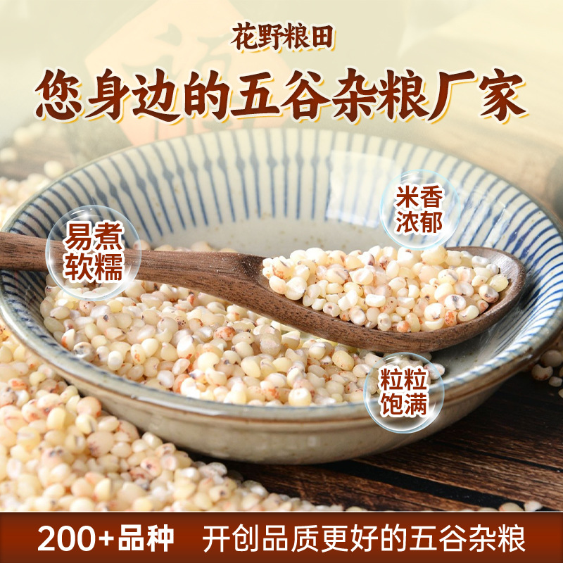 seasonal new rice northeast white sorghum rice grain porridge coarse grains rice vacuum packaging 0.50kg peeled sorghum rice