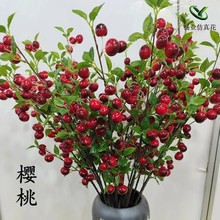 ���l�S�ҷ���ˮ������܇�����^�{�tɫ���ӷ���ˮ������܇����