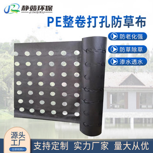 Source manufacturers PE whole roll perforated anti-grass cloth greenhouse agricultural black weeding cloth gardening cloth