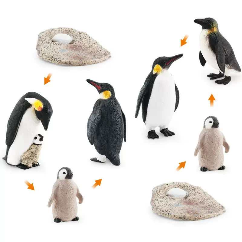 外贸货源仿真迷你小号企鹅幼崽生长周期静态摆件动物手办摆件