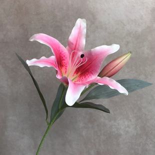 3D��2�^�ٺϷ��滨 ���Q���Ļ�c���Ż��̈����@�廨�Ҿ��bٻ�