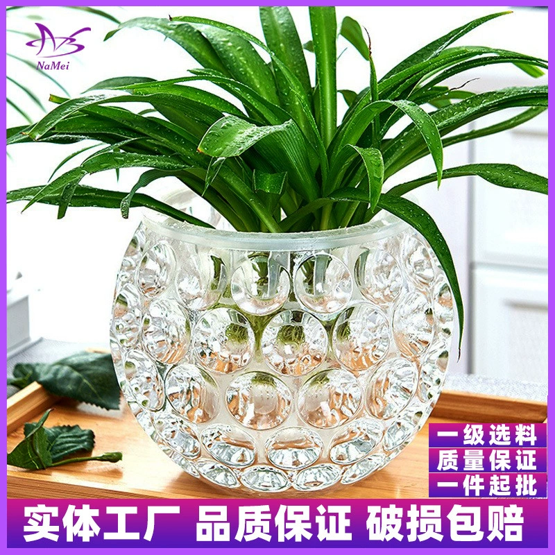 Простой Творческий хрустальный стеклянный ваза украшение гидропонная бутылка для растений Прозрачное цветочное устройство зеленая редька медная трава цветочный горшок оптом