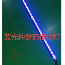 �{��һ�w��ֲ�����LĢ���M������ֲ���IP65ˮ���߲��a�������