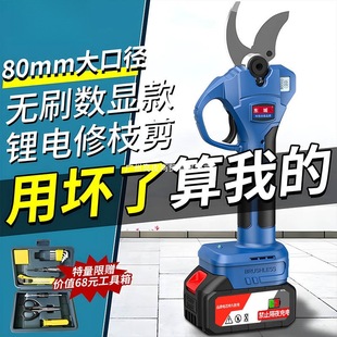 늄Ӽ��������@�ֹ�����֦�������늼���֦늼��Ӽ�֦����