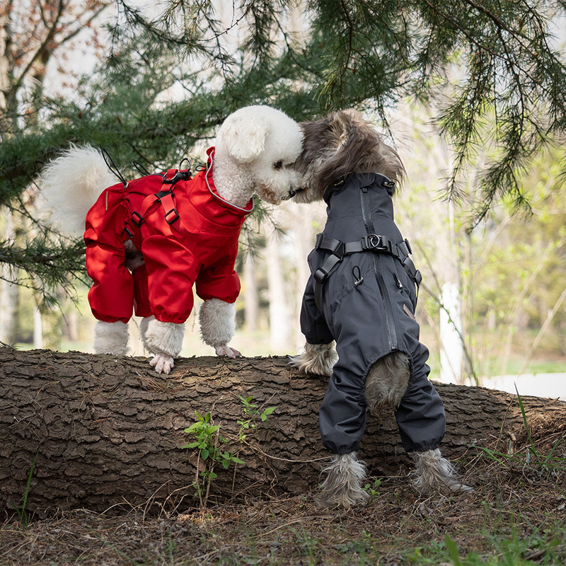アマゾンの四脚は犬レインコートペットレインコート防風雨ペット服胸と背中が一体になって犬服を着ている|undefined