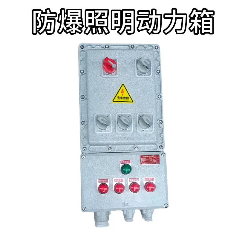 BXM（D)51防爆配电装置 动力照明防爆箱 隔爆检修电源开关控制箱
