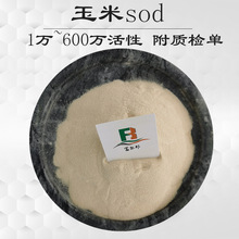 ����SODԭ��  10000u/g-600000u/g ���������绯ø  ������ȡ��