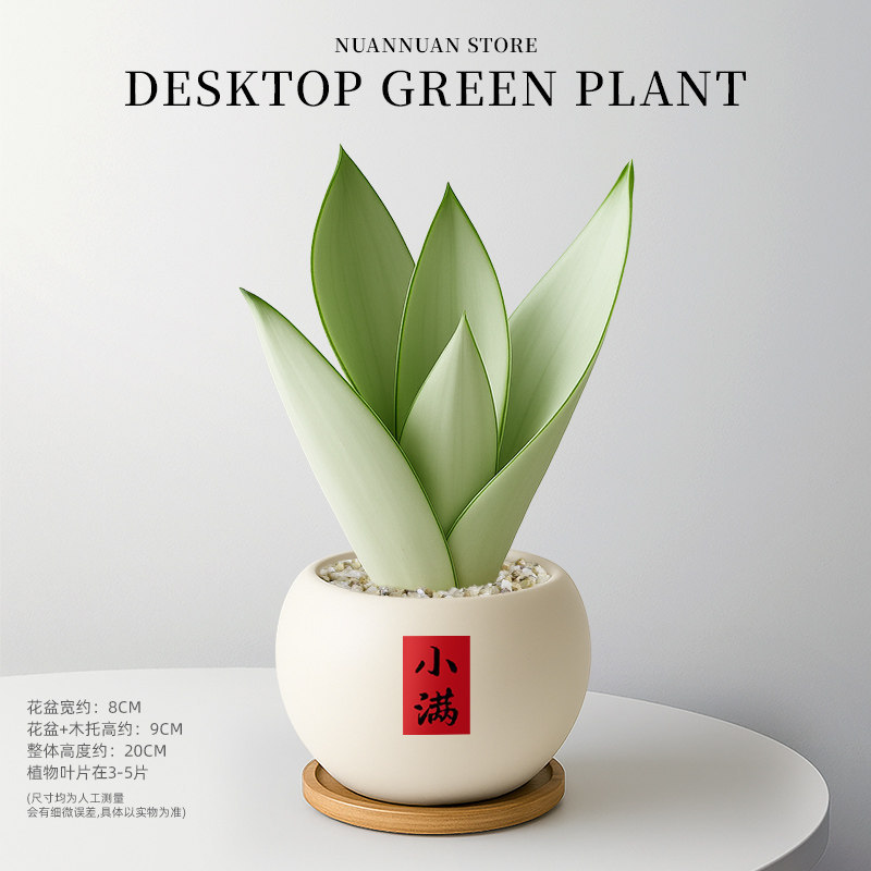 商品图
