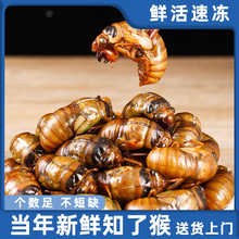 ֪�˺�2023���s���x�r��F�����rը�QӼ�Y�������������Ͳ���S