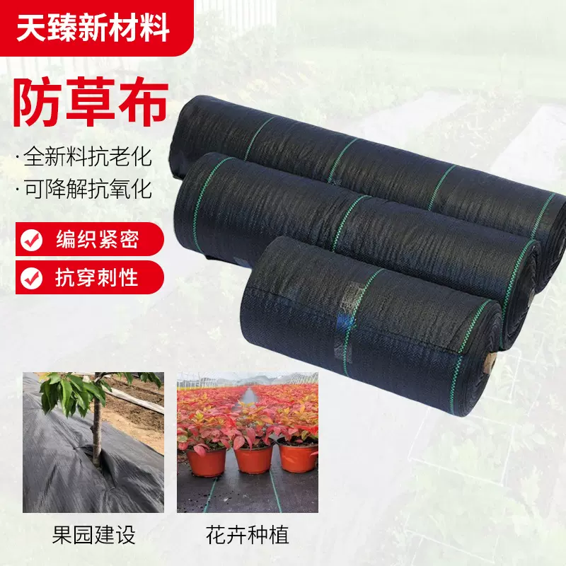 防草布农用果园除草地布地膜跨境亚马逊农用果园pp防草布厂家
