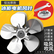 ��������L�~����/�X���~���L/���L/늙C�L�~�̶�����/�Ƭ/�ݽz