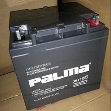 PLAMA八马蓄电池12V38AH PM38-12直流屏 消防配电柜 UPS电源