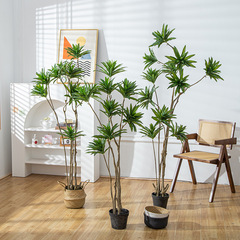 仿真百合竹盆栽龍血樹植物室內擺件綠植千年木家居客廳仿真樹