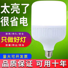 专业供应批发led球泡灯性价比30W65W工程家用E27节能螺口灯泡