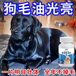 ؈�乷���~��Ƭͨ�àI�B�a�䄩��~����ë��ë��Ó���ò���ë