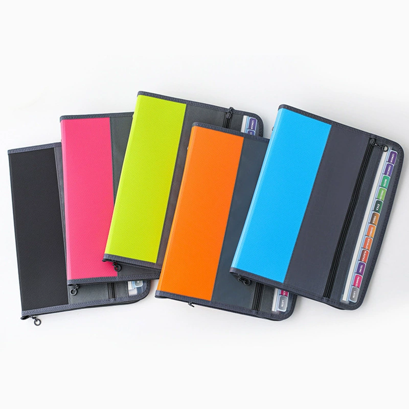 Organ, folder with zipper, universal bag for documents, handheld storage system, 13 floors