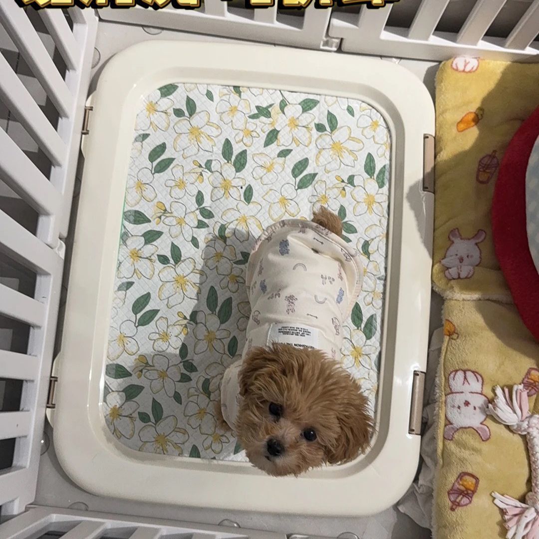 アリス犬トイレ便便器ペット便器グリッド小型犬子犬アリスフラット式犬トイレ