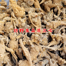 ��Ұ�������^������Ƭ��ɽ��Nֲ��ϰ�Ұ�����߁��Դ�ɽ���خa