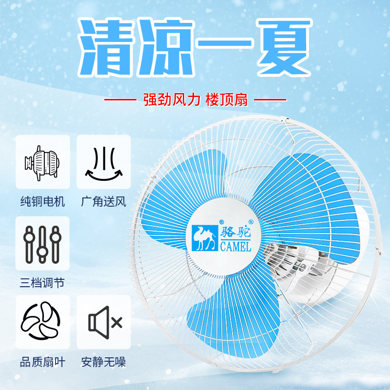 Camel Home Ventilador de techo de 16 pulgadas y 18 pulgadas Dormitorio de la escuela Fábrica comercial Ventilador de techo Sala de estar Sacudiendo la cabeza Ventilador de techo