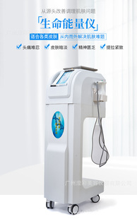 Жизненный пароль Life Energy Instrument Therapy Инструмент Meridian Dronging Beauty Salon Salon Shape Shape Положительная и негативные ионы