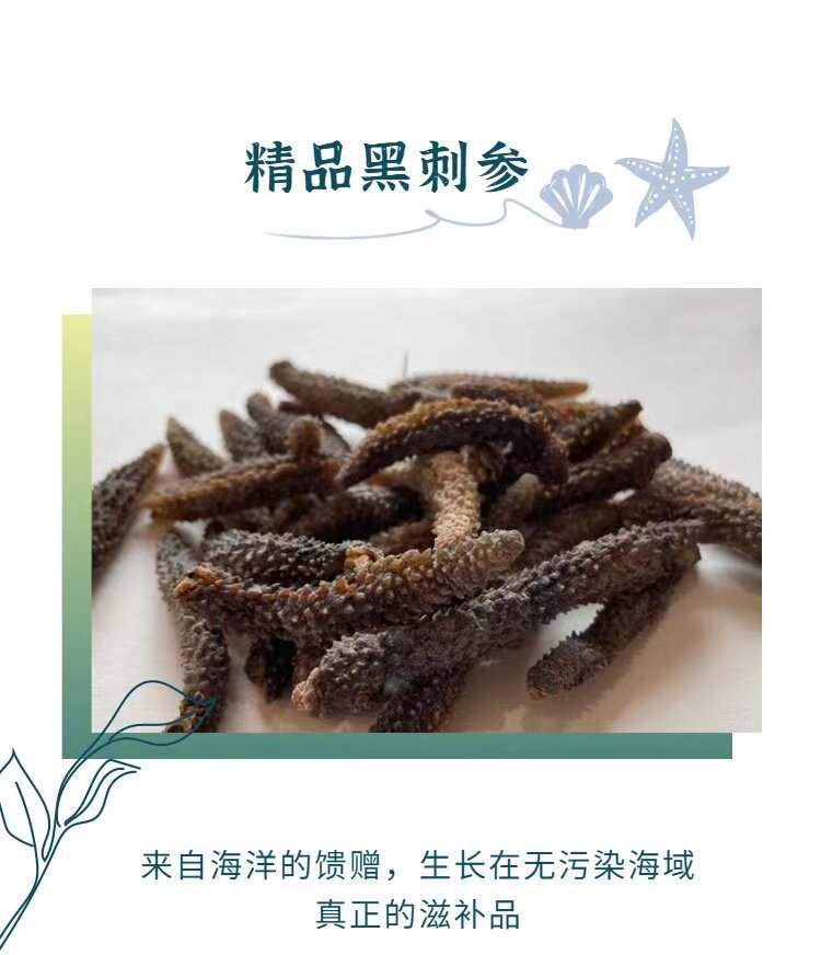 Wild Indonesian Black Sea Cucumber Holothuria Dried Seafood 500g High Rehydration Rate for Cooking key features