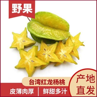 Тайваньский Honglong Cafei Guangzhou Jiangnan Market Оптовая и импорт распределения кайон