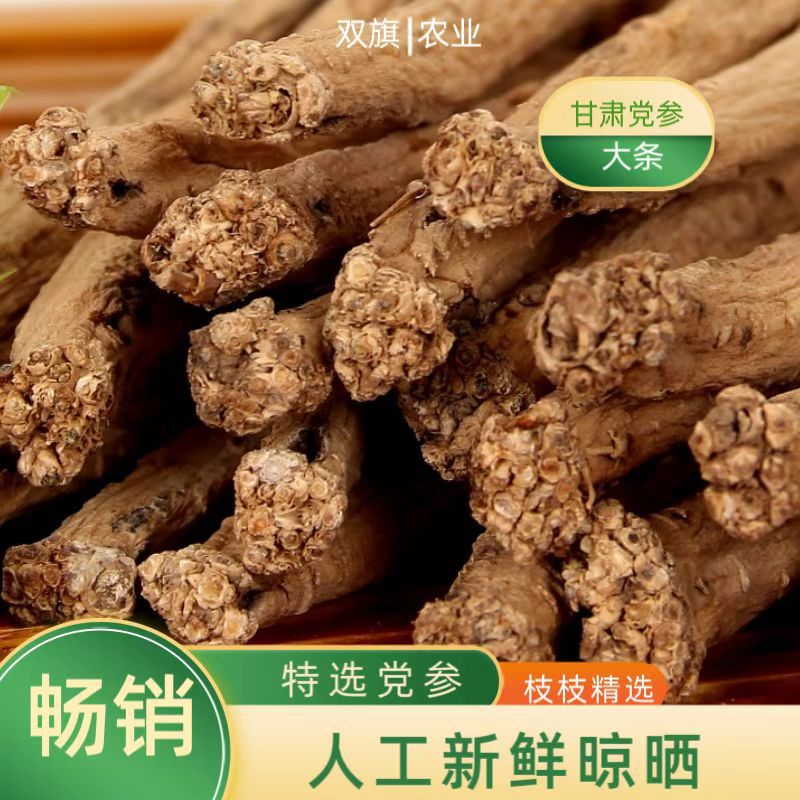 Gansu-Origin Codonopsis Root, New Stock, Sulfur-Free, Sun-Dried, Authentic Selected Chinese Medicinal Herb, Medium-Sized Codonopsis Root detail image