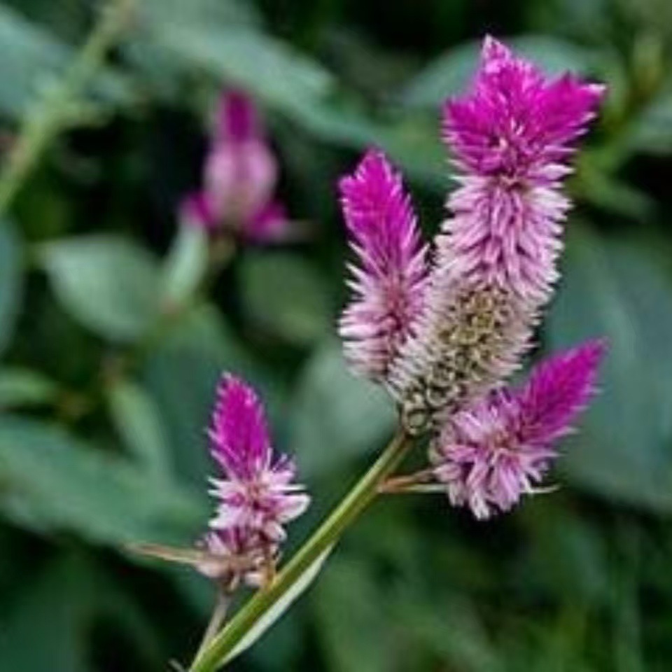 微信图片_20241108114827