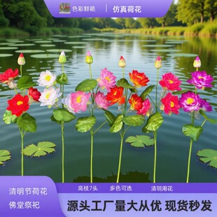 �S�ҹ�������7�^�ɻ��R�������[����@�L�� ���������滨���l