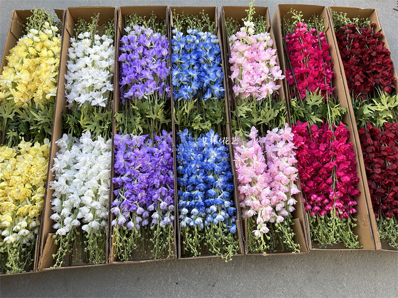 Extra large delphinium