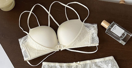 Ventas directas de fábrica comercio electrónico transfronterizo Sudeste de Asia Vietnam Tailandia ropa interior simple hebilla delantera recolección hermosa espalda cómoda sujetador