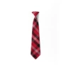 (No need to fight)--Big red check tie