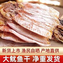 �O��������~�����~���Ұ�������~�����r�}�����~�����F���