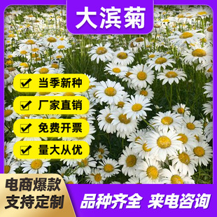 ��I�շN�Ӷ������޸����ܻ��ݷN�Ӿ��^�G���ͺ�ͥԺ�^�����ԷN��