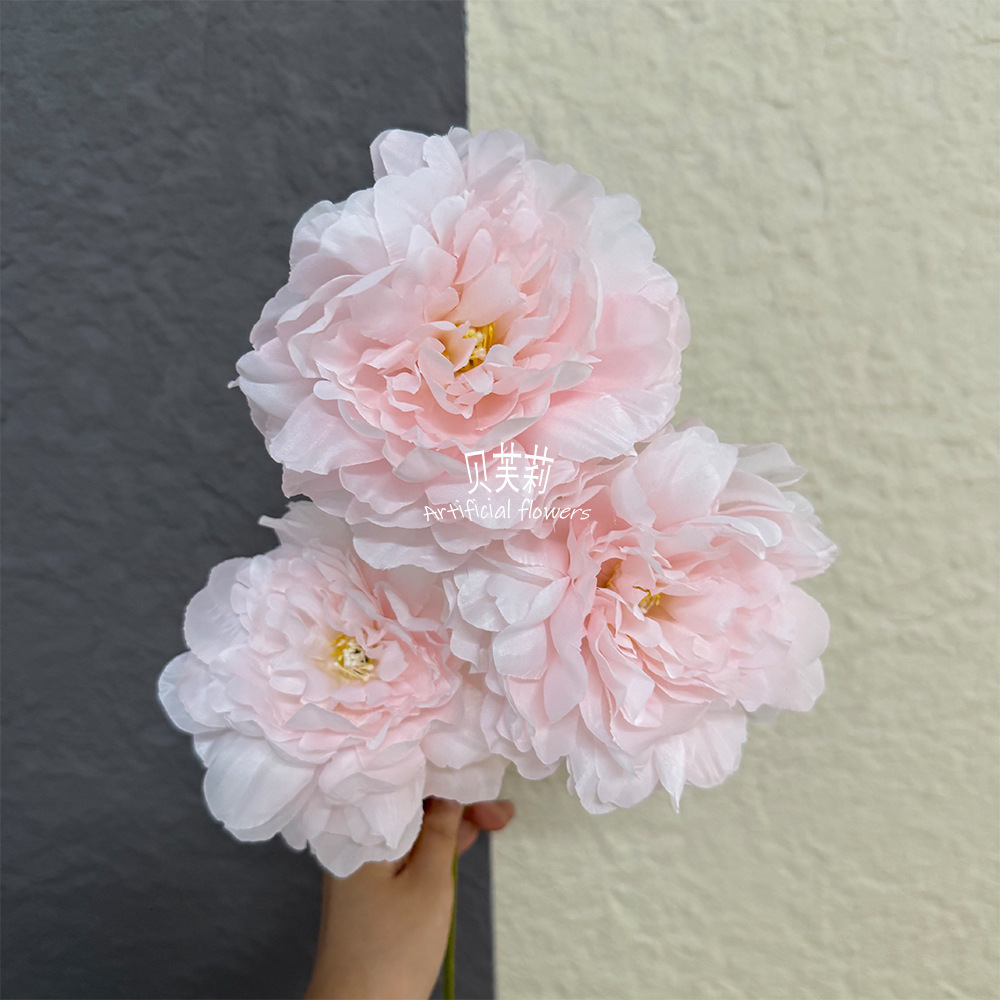 큰 모란 - 라이트 핑크