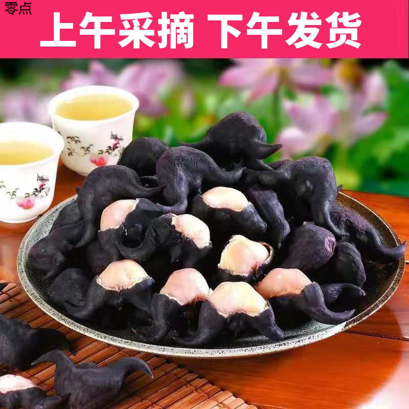 紅湖菱角、新鮮な古い粉もち蓮角、黒菱角、湖北特産菱角、菱角工場直販|undefined