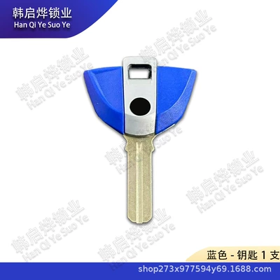 F650 F700 F800Gs | Motorcycle Key