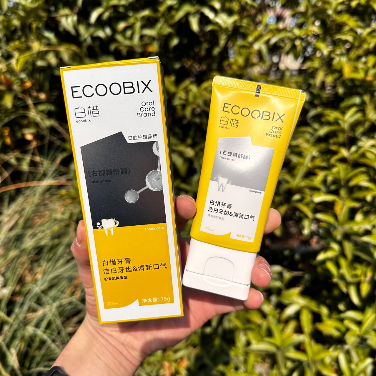 白惜氨基酸牙膏清新口气温和护理清爽修护抗糖w