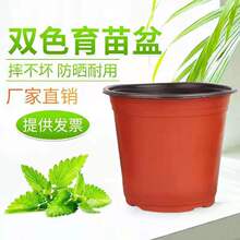 �Ӻ��pɫ�����l���籭���׻������籭�����~�������I�B��������