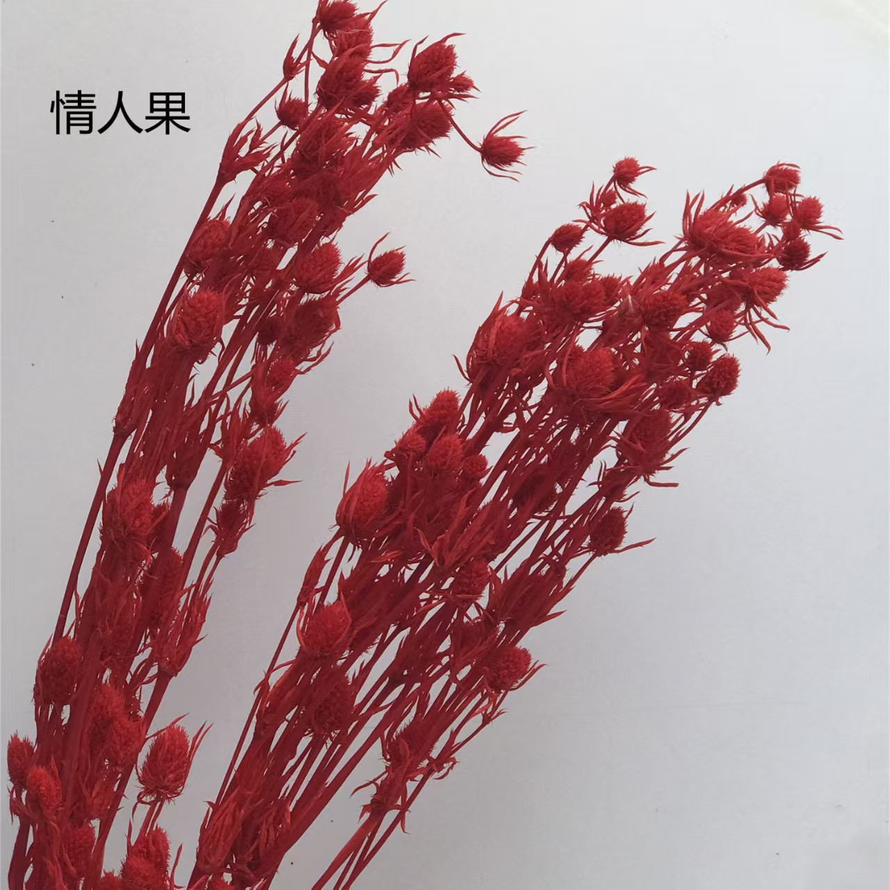 Flores de inmortalidad rojas decoración de boda flores secas de Año Nuevo para dar la bienvenida a los huéspedes frijoles de dragón grasa colgando arroz al por mayor