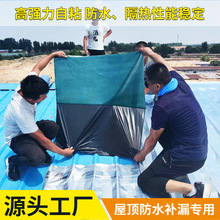 �������ճ��ˮ���� ��������淭���a©�FƤ�S���z�𿾷�ˮ����