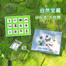现货批发树脂昆虫标本水晶滴胶工艺品幼儿园教学用品摆件自然科普
