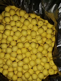 纸质工艺品;圣诞球;其他