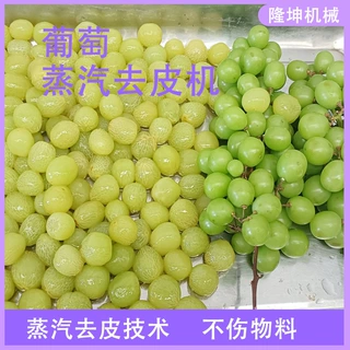 隆坤可定制多功能葡萄蒸汽去皮机 全自动不锈钢蒸汽爆皮机