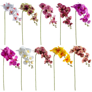 �����m�ٻ����Ի��Ĳ廨���ϻ��͏d�����b��ܔ[�����滨����