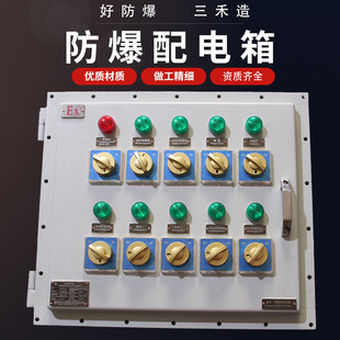 Sanhe Wall-Mounted Explosion-Proof Control Box Non-Standard Circuit Distribution Box Bxk51-63A