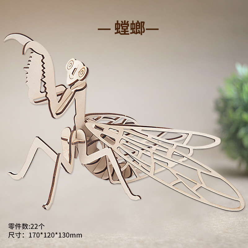 praying mantis