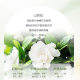 Aonan Camellia Plant Extract Pure Shampoo Oil Control Fluffy Lasting Fragrance Large Capacity Shampoo Body Soap