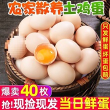 10���u���r��ɢ�B���40ɽ�ּ��u��ö���r����ι�B���ЋD��ö