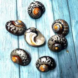 海螺/贝壳;工艺原料;风铃